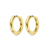 Afbeelding van Gouden creolen 4031125