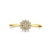 Afbeelding van 14 krt geelgouden ring met zirkonia 4030846