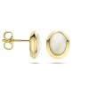Afbeelding van 14 krt geelgouden oorknoppen met opaal 4026756