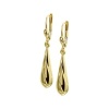 Afbeelding van 14 krt geelgouden oorhangers 4017097