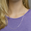Afbeelding van Zilveren Collier 1001749