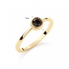 Afbeelding van 14 krt geelgouden ring met zwarte zirkonia 2140178