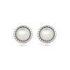 Afbeelding van Zilveren oorknoppen met parelmoer 1337730
