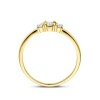 Afbeelding van Gouden ring 4034993