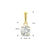 Afbeelding van Gouden hanger 4024391