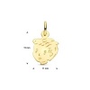 Afbeelding van 14 krt gouden hanger kinderkopjes 4005849
