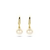 Afbeelding van Gouden oorhangers 4022977