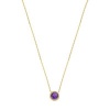 Afbeelding van 14 krt gouden collier met hanger, met amethist en zirconia 4029188