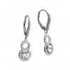 Afbeelding van Diamonfire zilveren oorhangers met zirkonia 6214721082