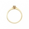 Afbeelding van 14 krt geelgouden ring met zirkonia 2141035