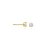 Afbeelding van 14 krt geelgouden oorknoppen met zirkonia 4034299