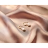 Afbeelding van Gouden oorhangers 4022977