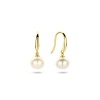 Afbeelding van Gouden oorhangers 4022977
