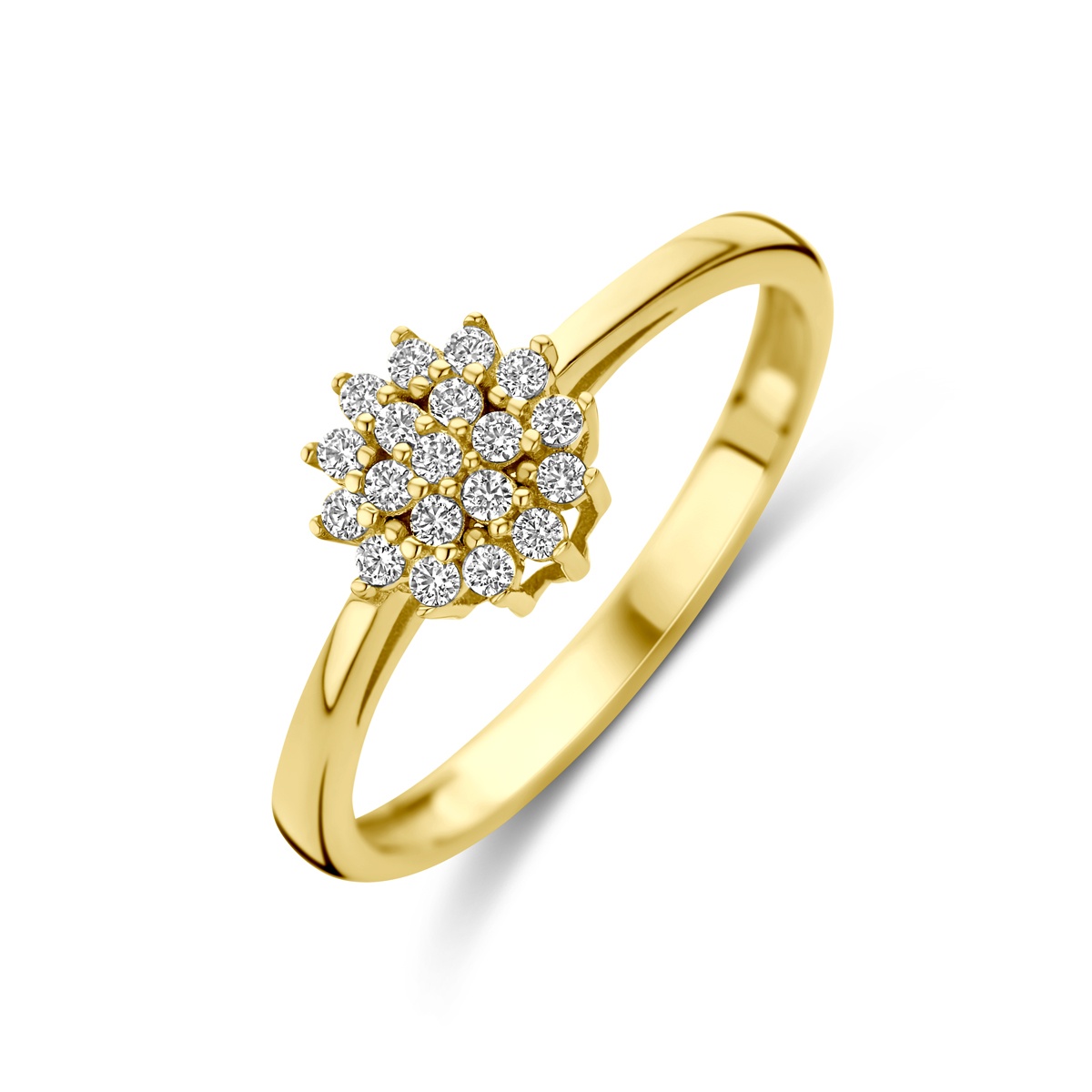 14 krt geelgouden ring met zirkonia 4030846