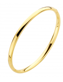8 krt gouden bangle ovaal met zilveren kern 33-A35XX05