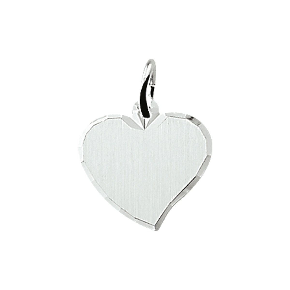 Zilveren hanger 1005896