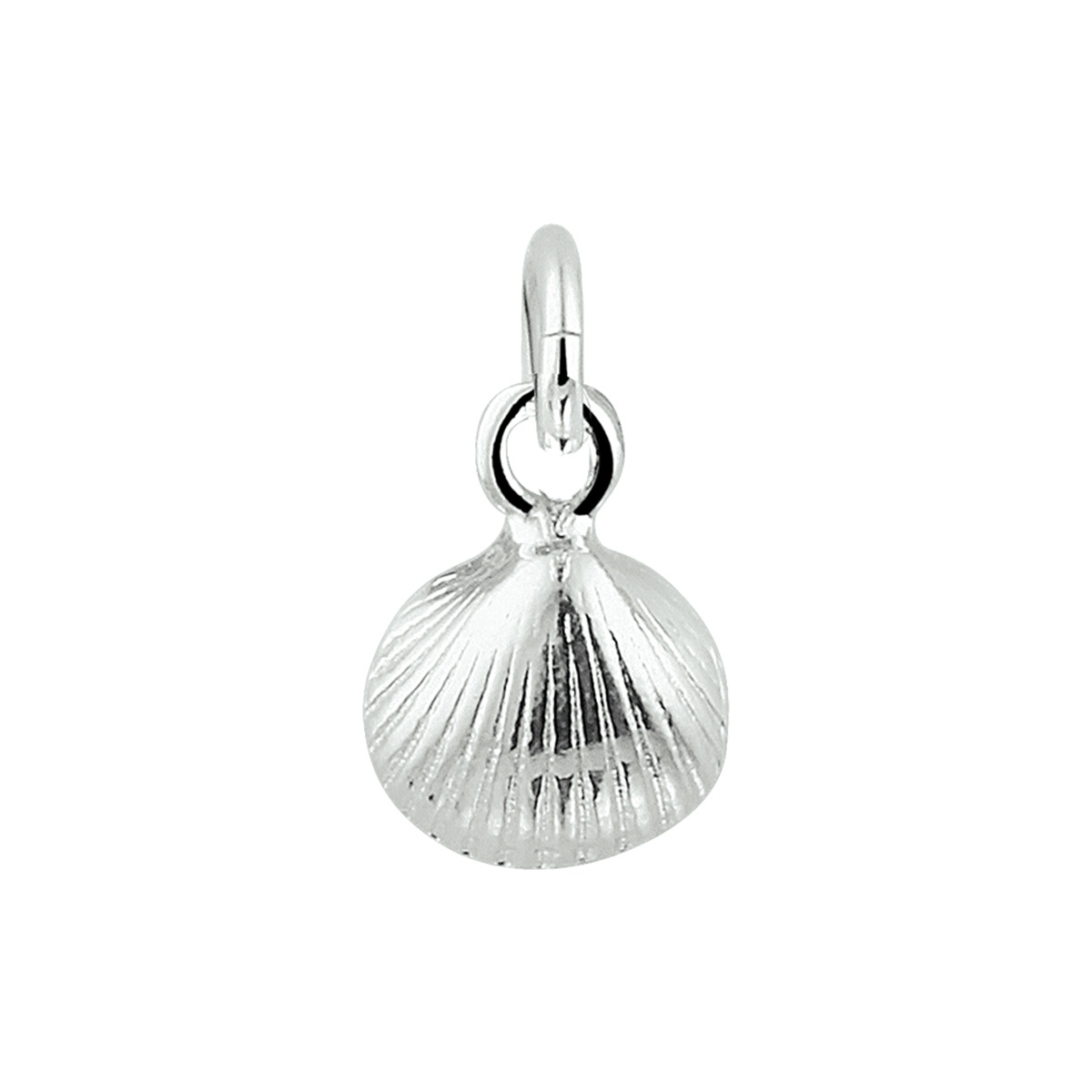 Zilveren bedel schelp 1021702