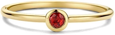 14 krt geelgouden geboortesteen ring januari SWBR01JAN-Y-54