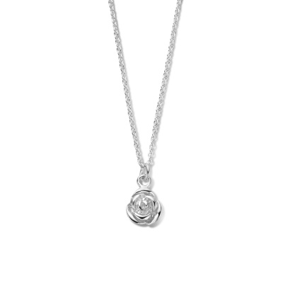 Foto van Zilveren collier met hanger 1336496