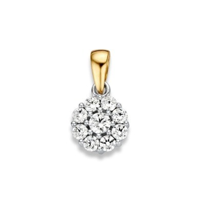 Foto van Hanger bicolor zirkonia HV425390