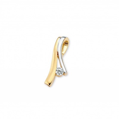 Foto van Hanger bicolor zirkonia HB425738