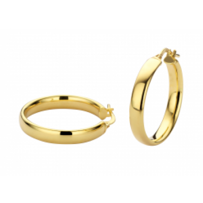 Foto van Gouden creolen met zilveren kern 40-OOV20