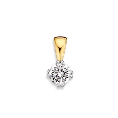 Foto van Hanger bicolor zirkonia HV425824