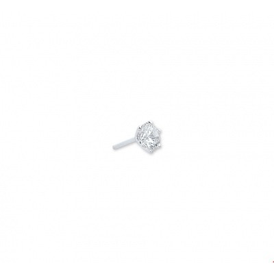 Foto van Zilver gerhodineerd oorknoppen