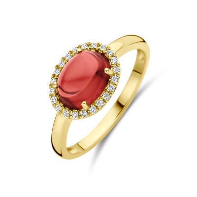 Foto van 14 krt gouden ring met granaat en 0.09 crt diamant 4031746