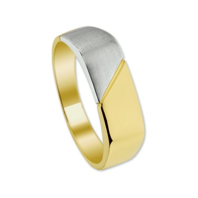 Foto van 14 krt bicolour gouden ring 4205288
