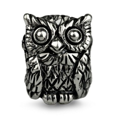 Foto van Ohm Owl