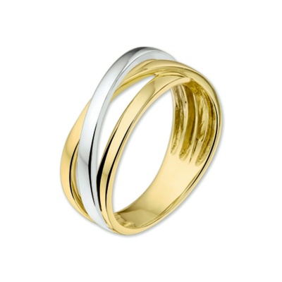 Foto van 14 krt bicolour gouden ring 4206183