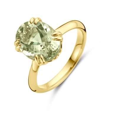 Foto van 14 krt geelgouden ring met groen amethist 4031875