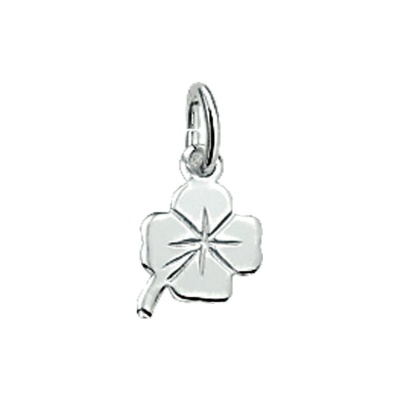 Foto van Zilveren hanger klaver 4 1005377