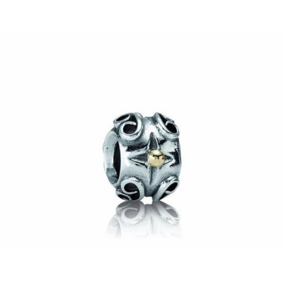 Foto van Pandora 790265