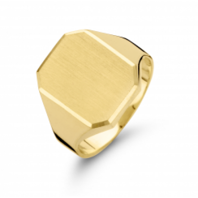 Foto van Herenring goud op zilver 40/25-HR18