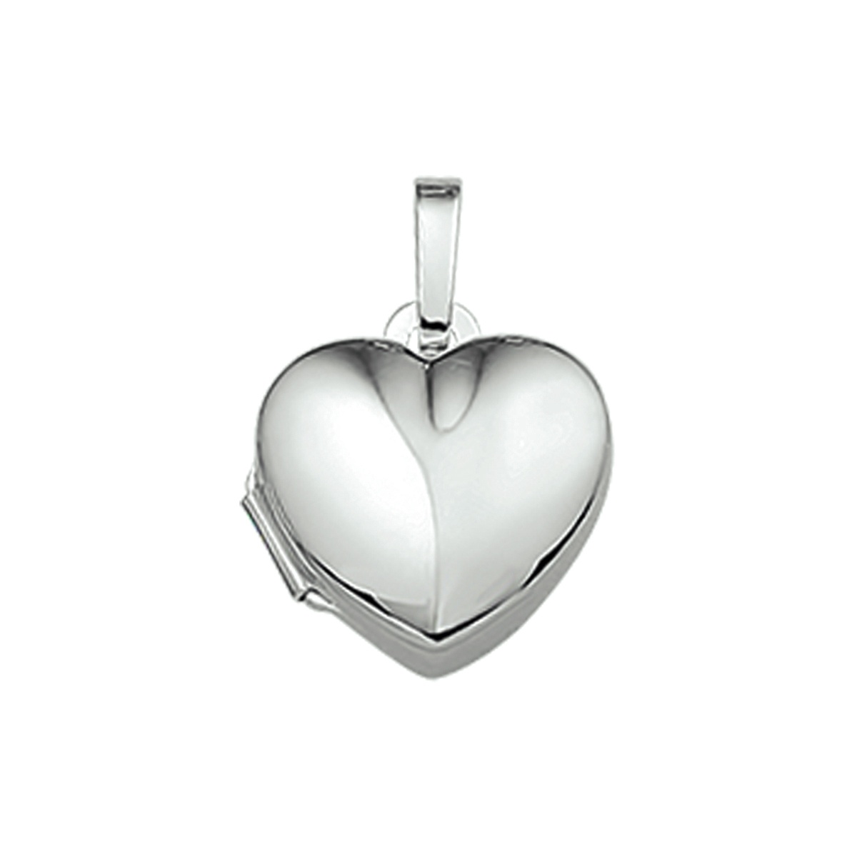 Zilveren medaillon 1012044