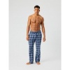 Afbeelding van BJORN BORG HEREN CORE FLANNEL PYJAMA PANTS 10000663-P0925