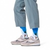 Afbeelding van HAPPY SOCKS SLALOM SOCK P003289