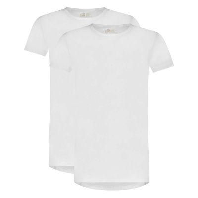 Foto van TEN CATE HEREN BASIC T-SHIRT RONDE HALS KORTE MOUW 2-PACK WIT
