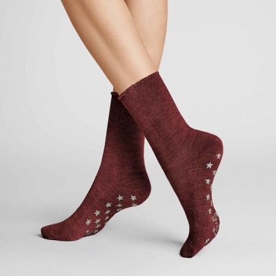 Foto van HUDSON HOMEPADS ANTISLIP SOKKEN PURPLE RED