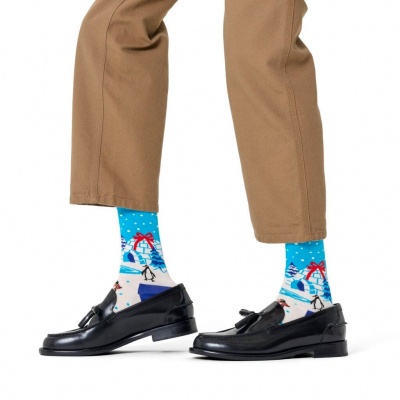 Foto van HAPPY SOCKS IGLOO SOCK P003781