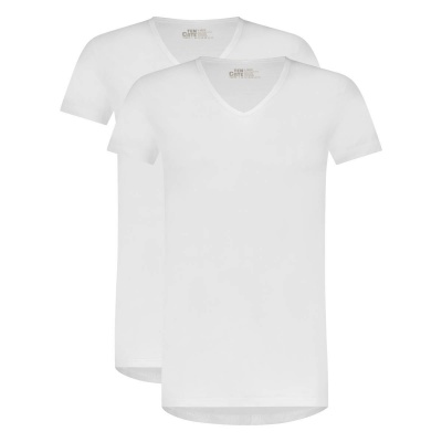 Foto van TEN CATE HEREN BASIC T-SHIRT V-NECK KORTE MOUW 2-PACK WIT