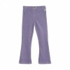 Afbeelding van Daily7 Flared Velvet Pants