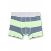 Afbeelding van Sanetta Boxershorts stripe lime