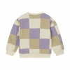 Afbeelding van Daily7 Sweater Check