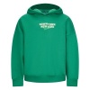Afbeelding van Retour Sweater Romy (Forest green)