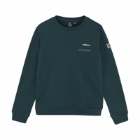 Foto van Indian Blue Loose fit Sweat Backprint