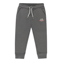 Foto van CARS GOOS LC SW Antra