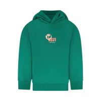 Foto van CARS BRYS LC SW Hood Green